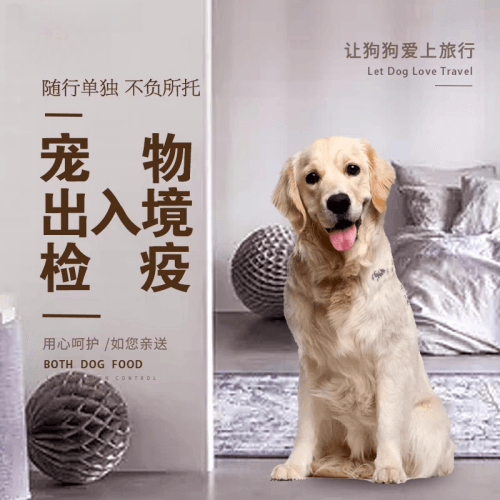 昆明市宠物托运到哥伦比亚猫狗宠物入境规定和