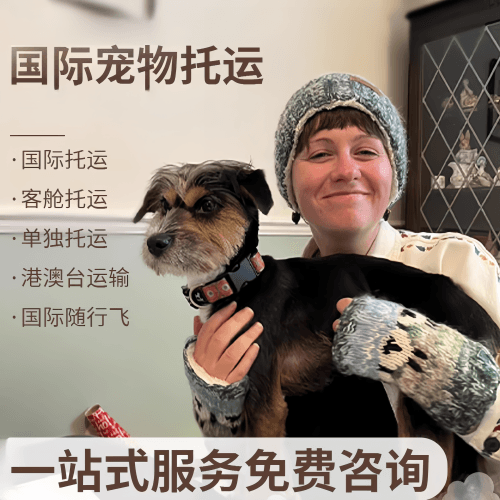 昆明市国际宠物托运到阿根廷宠物入境规定和要