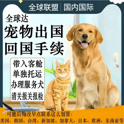 昆明市宠物托运到柬埔寨宠物入境规定和要求
