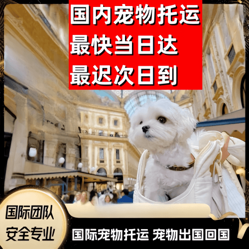 昆明市到澳大利亚（澳洲）宠物入境规定和要求